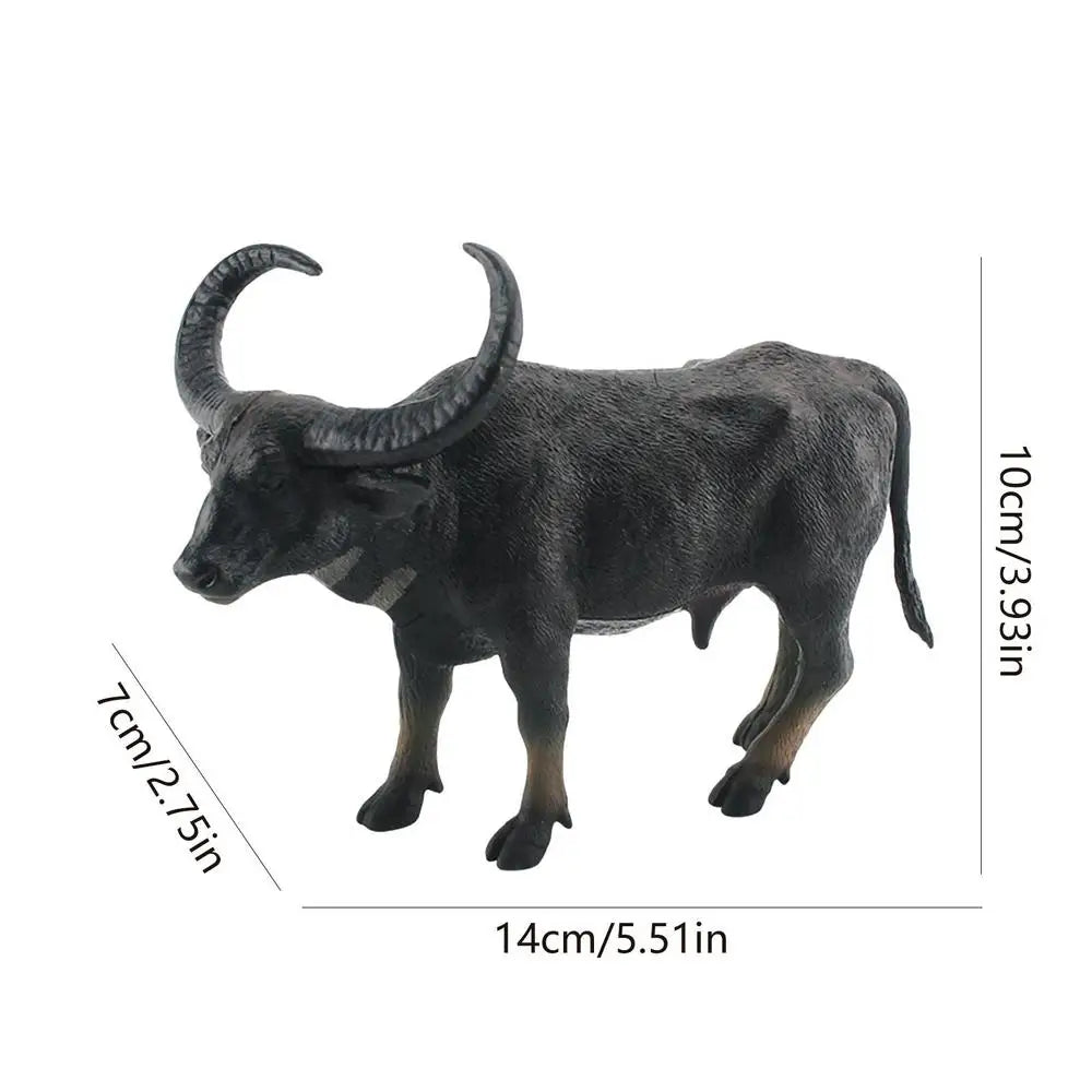 main.png