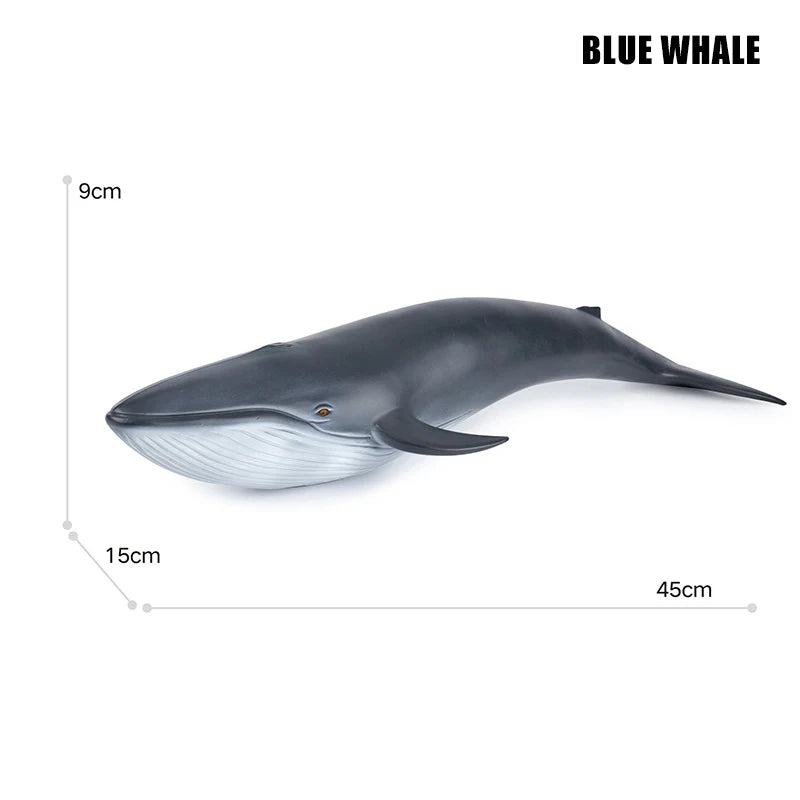 main.png