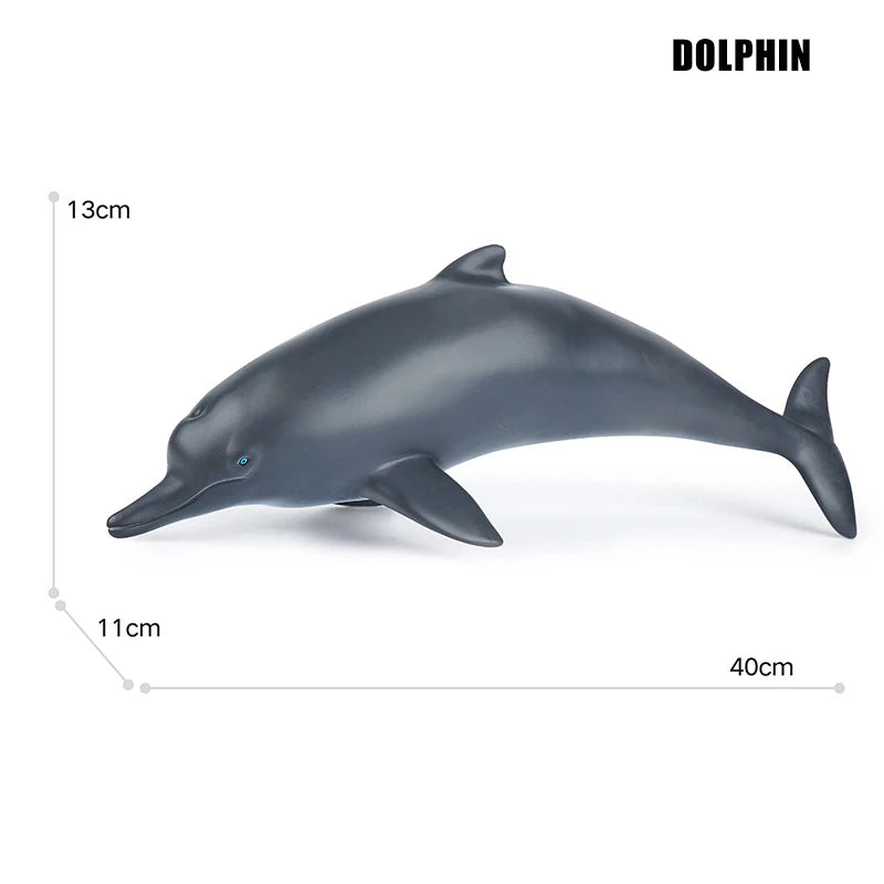 main.png
