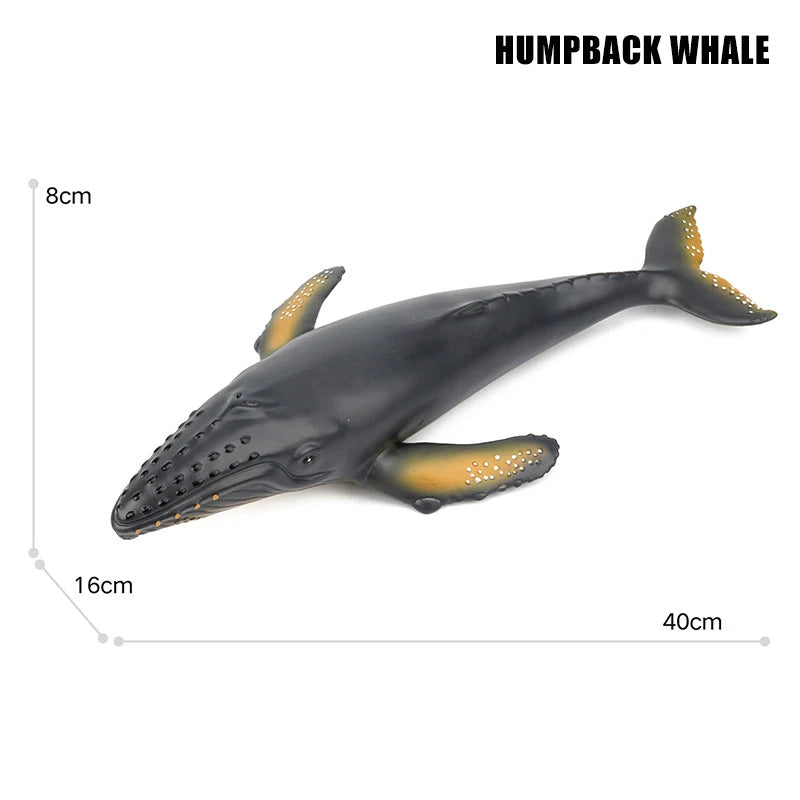 main.png