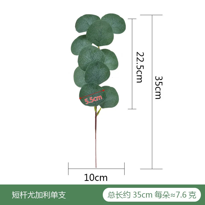 V12000034786498816_0.jpg