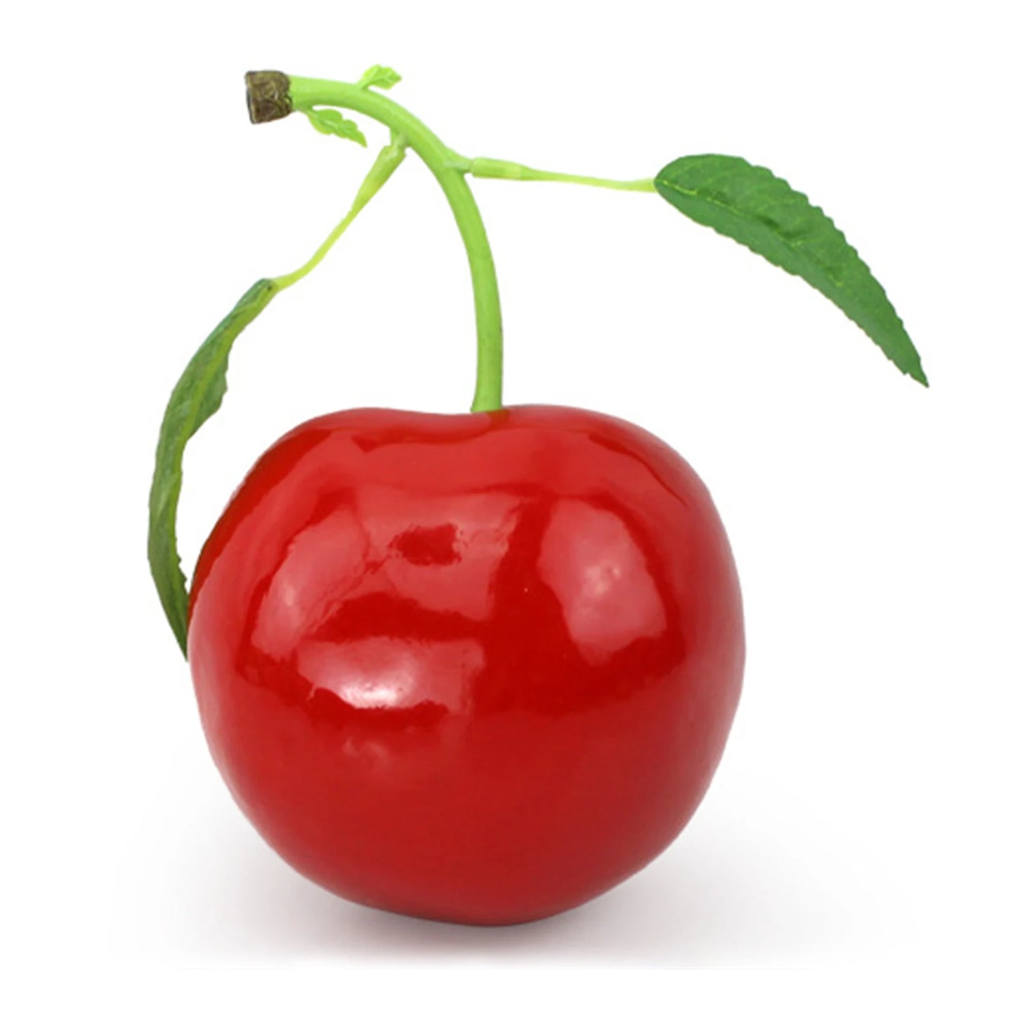 main.png