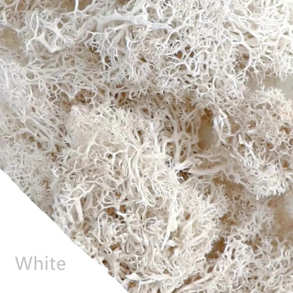 V12000036168526431_0.jpg