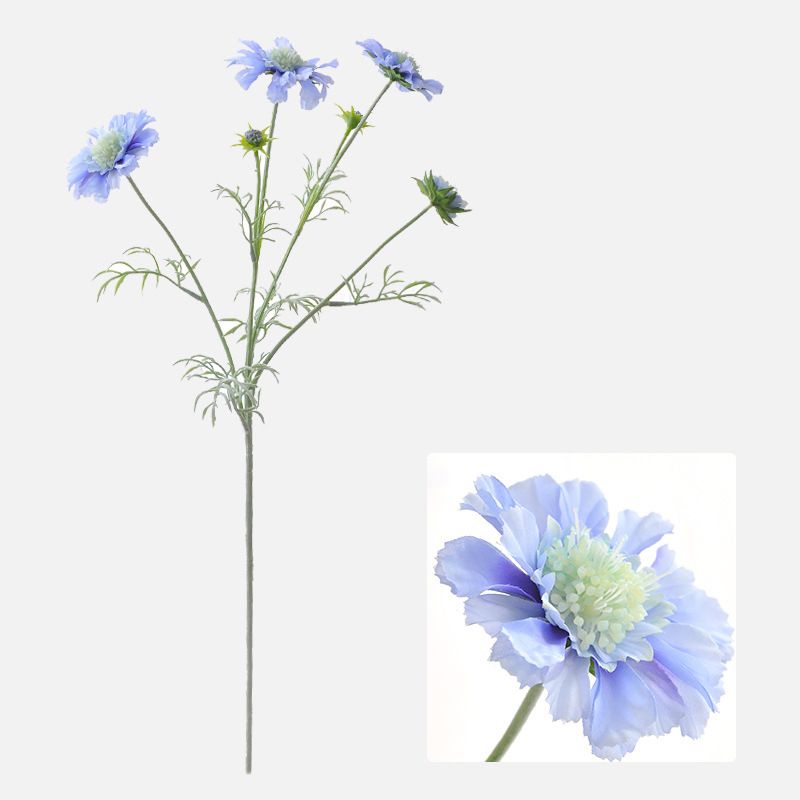 main.png