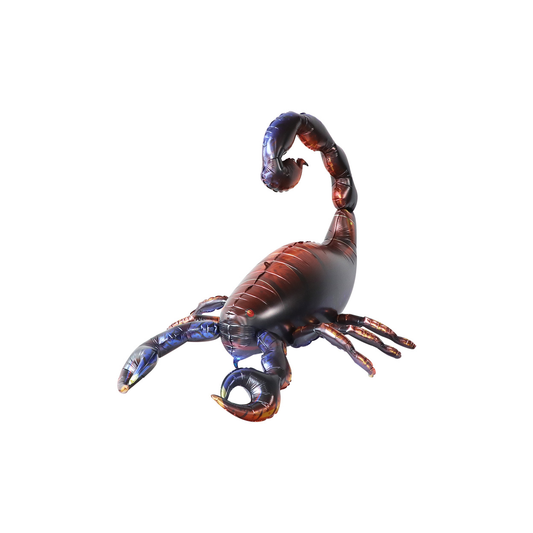 main.png