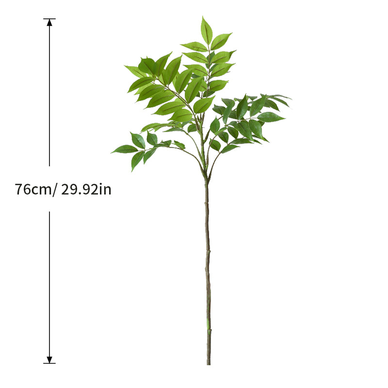 V12000036930805771_0.jpg