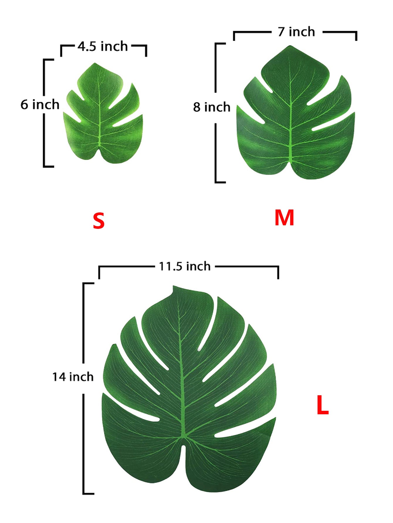 V12000036954411296_0.jpg