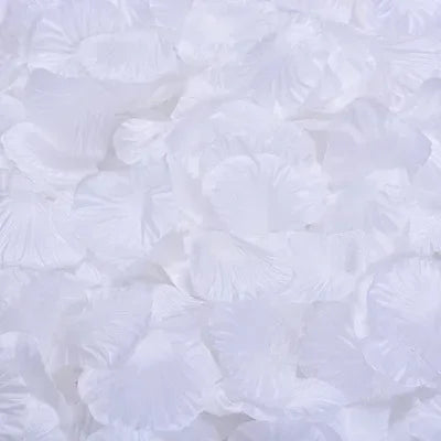 V12000037059240933_0.jpg