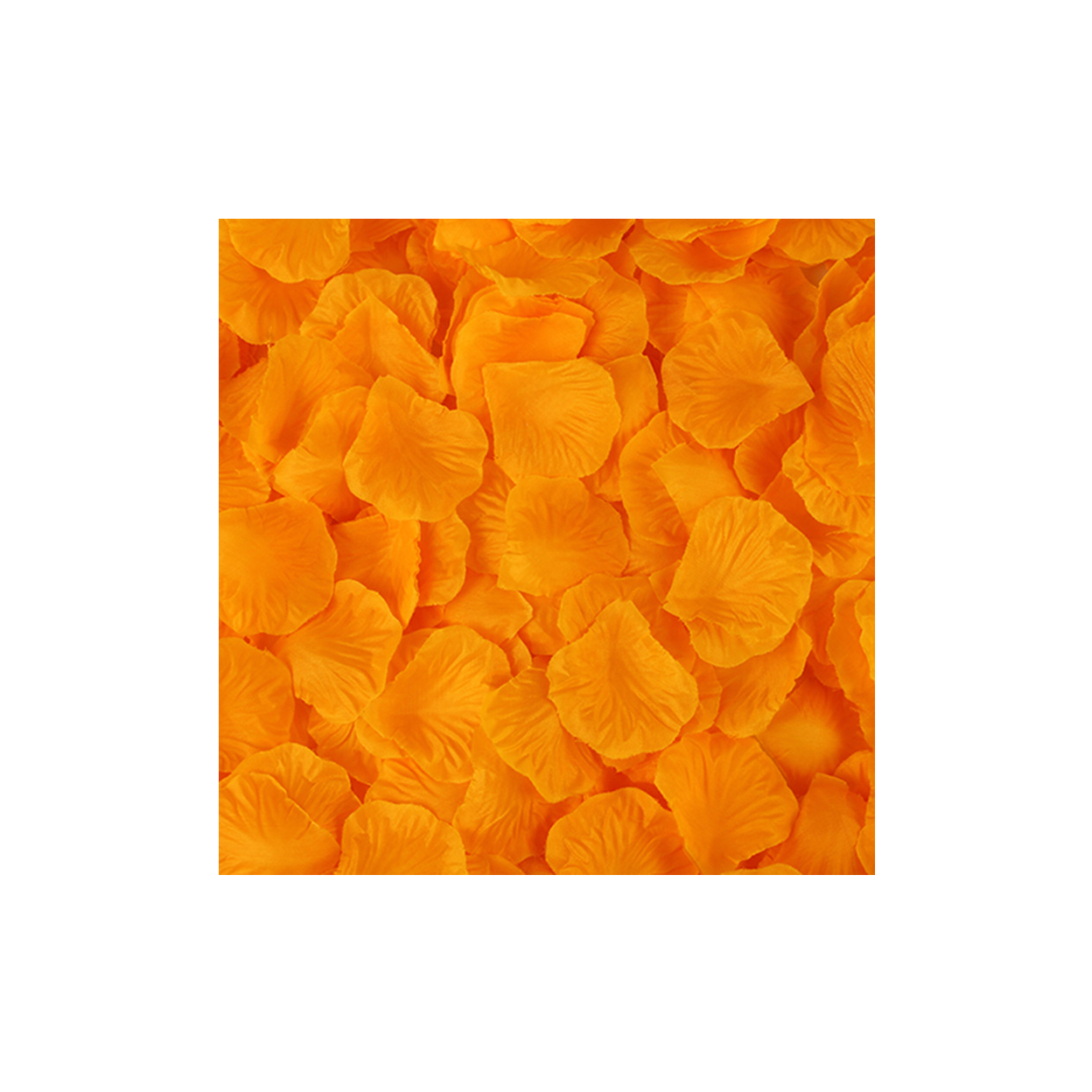 main.png