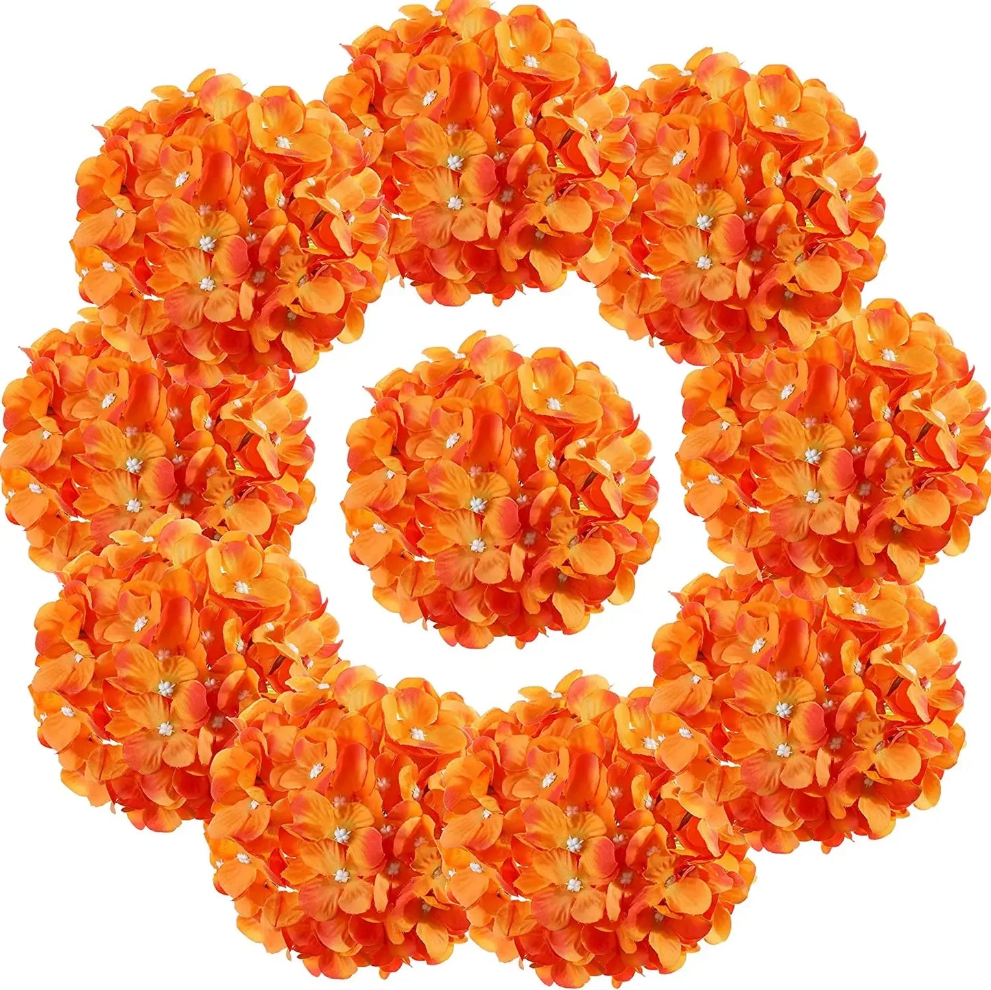 main.png