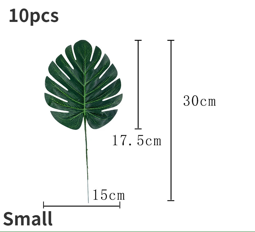 V12000038068335920_0.jpg