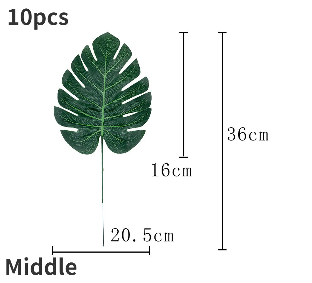 V12000038068335921_0.jpg