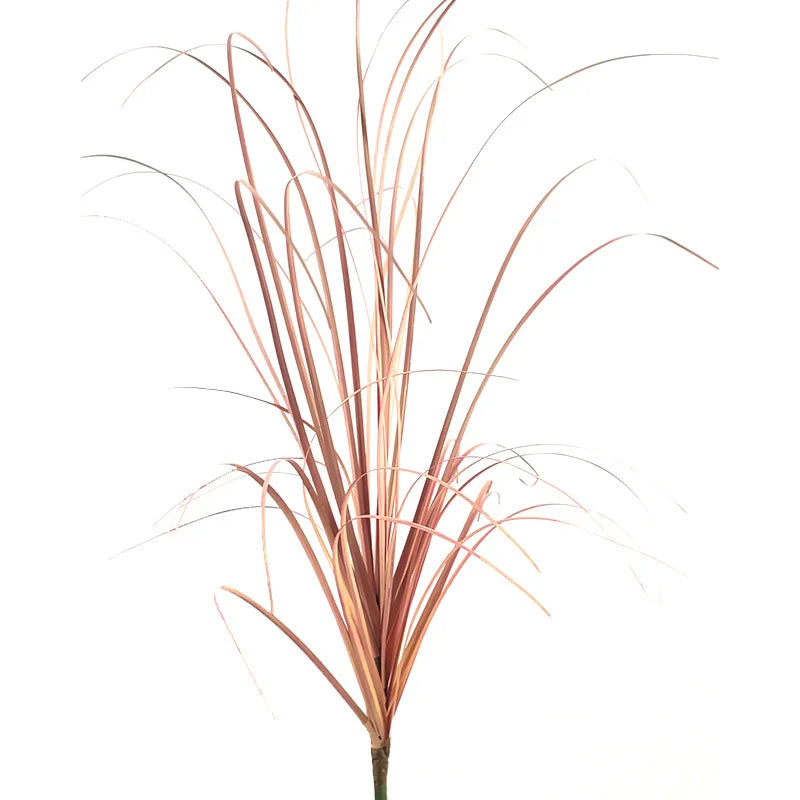 main.png
