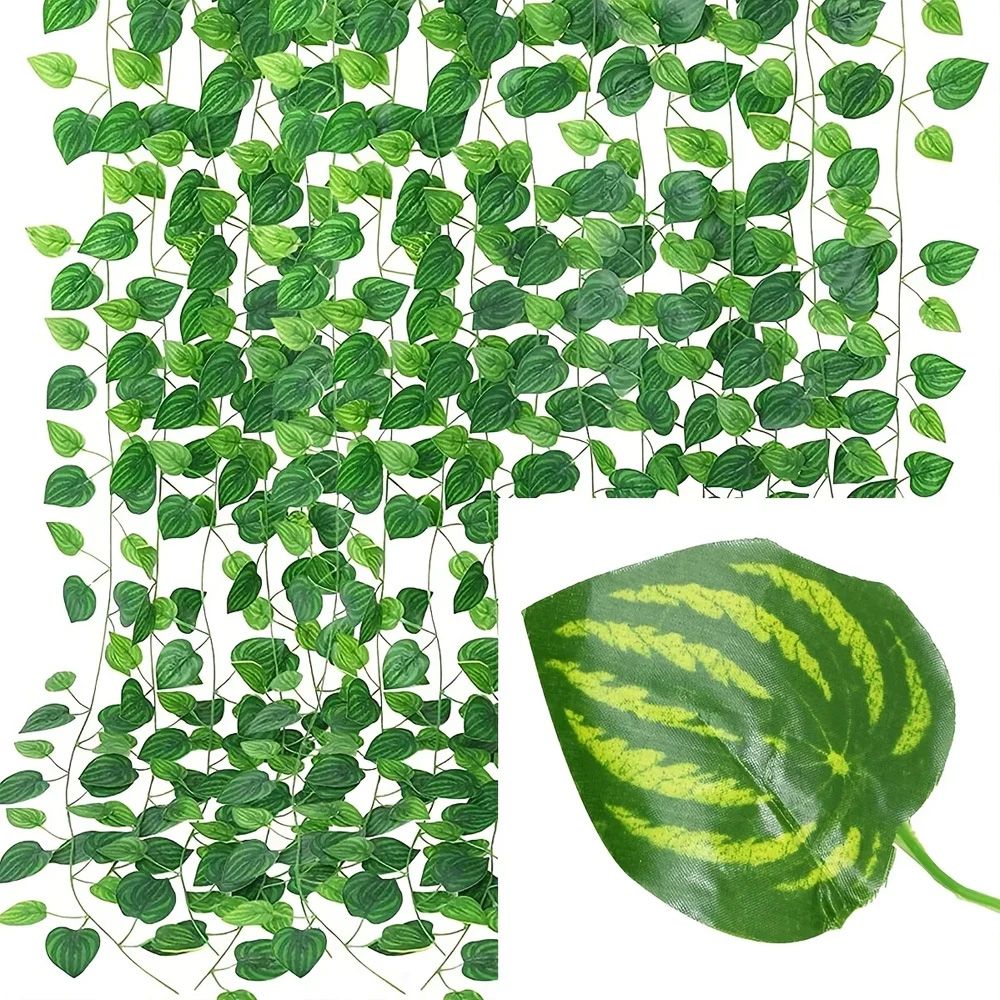 main.png
