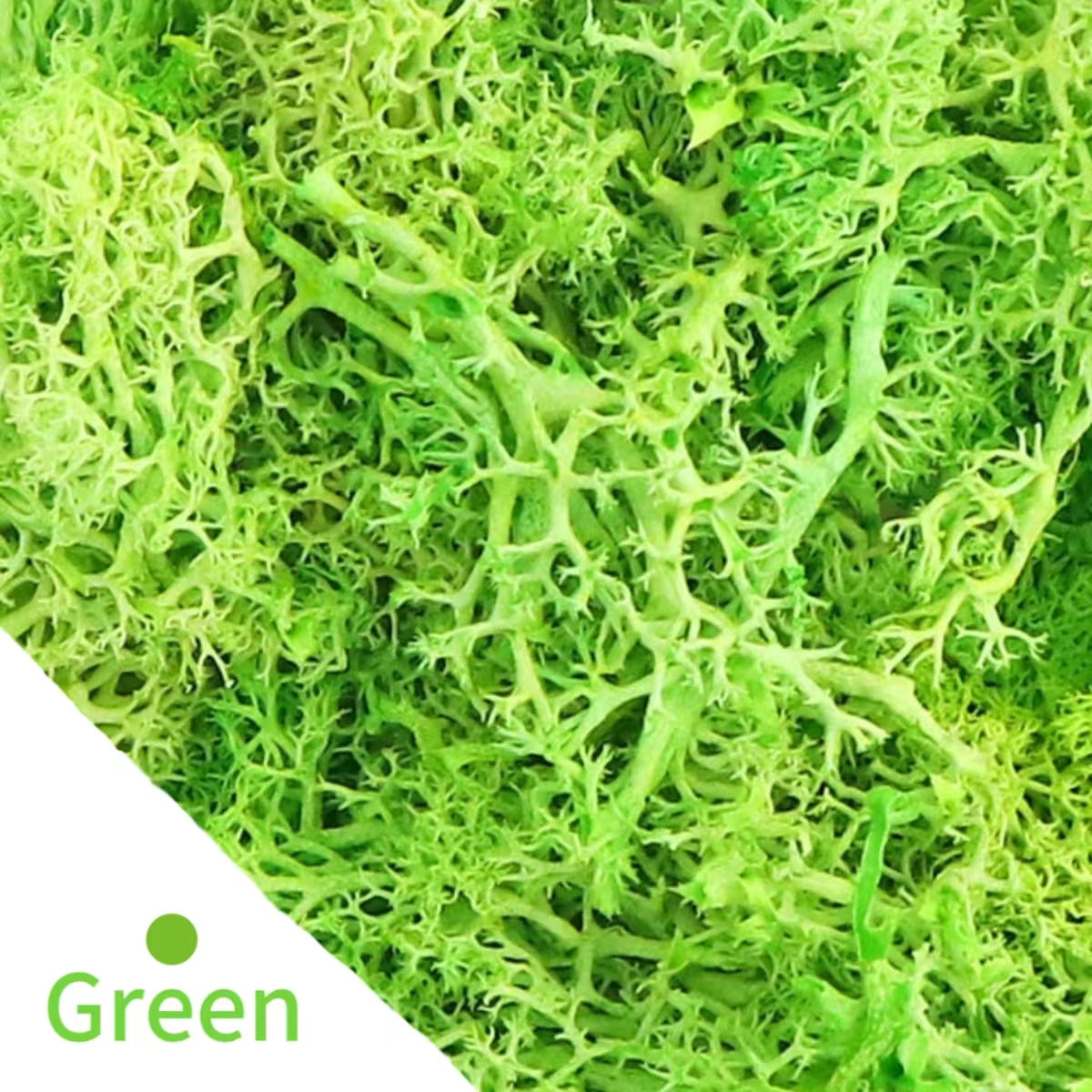 V12000040514028293_0.jpg