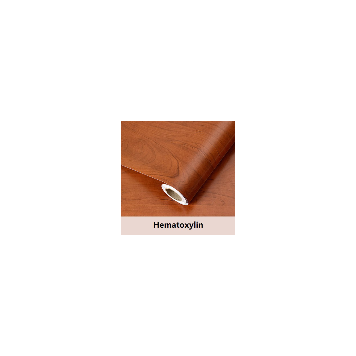 main.png
