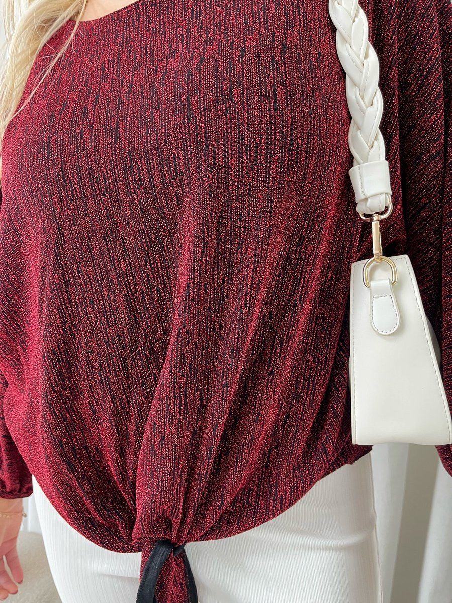 (F) Shimmer Long Sleeve Tie Front Top