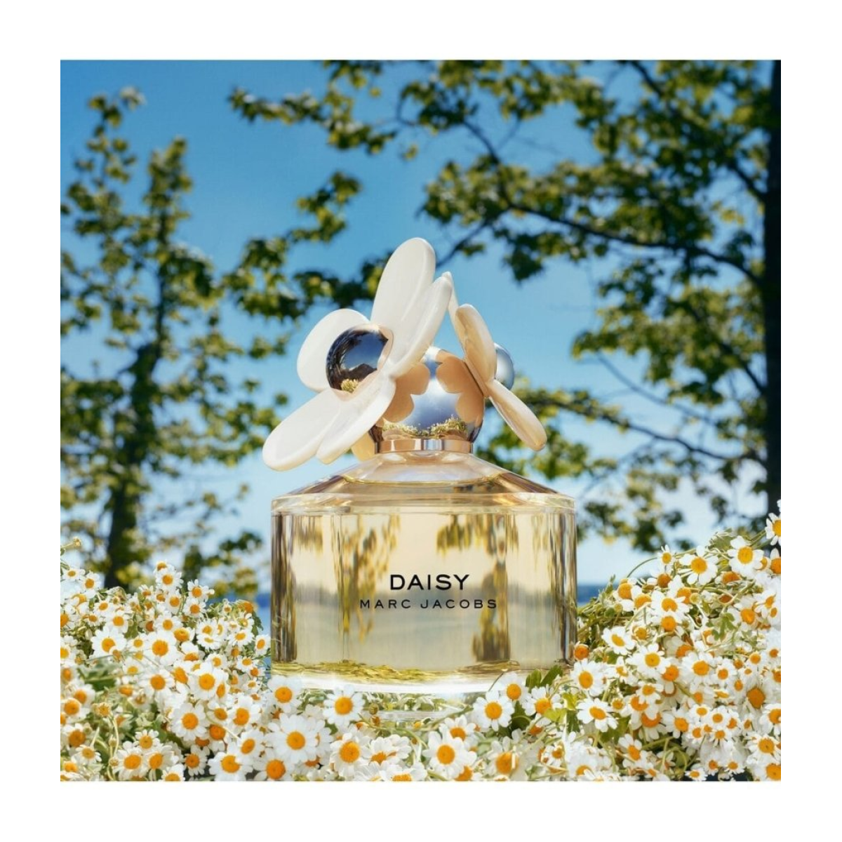 Marc Jacobs Daisy Eau de Toilette Spray 30ml – Fresh Floral Fragrance (HTML)